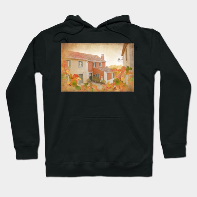 Sintra casa do terreirinho Hoodie by terezadelpilar